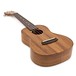 Kala Elite Series KOA 1 Concert Ukulele, Gloss Natural