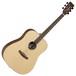 Tanglewood DBT D BW Discovery Dreadnought Acoustic Guitar