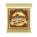 Ernie Ball Earthwood 2002 W 2002 80/20 Bronze Medium Set