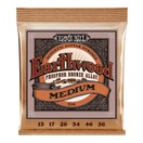 Ernie Ball 2144 Earthwood Phosphor Bronze Medium 13-56