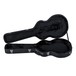 Dean Deluxe Hard Case, Colt Series - INTERIOR