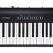 Roland FP-30 Digital Piano, Black  