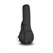 Access Stage 1 Banjo Gig Bag