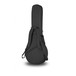 Access Stage 1 Banjo Gig Bag