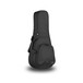 Access Stage 1 Mandolin Gig Bag