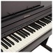 Roland RP501R Digital Piano, Contemporary Rosewood