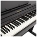 Roland RP501R Digital Piano, Contemporary Black