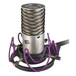 Aston Microphones Rycote Shockmount