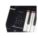 Yamaha NU1X Avantgrand Controls