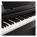DP-10X Digital Piano by Gear4music + Piano Stool Pack, Gloss Black