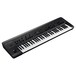 Korg KingKorg Black