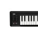 Korg microKey 49 Key USB Controller Keyboard 