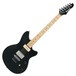 Ibanez CMM2 Chris Miller Roadcore, Black Flat Main Image