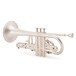 Besson 180th Anniversary Sovereign Cornet, Satin Silver Plate