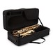 Rosedale Professional Alto Saxophone by Gear4music, Case
