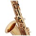 Rosedale Professional Alto Saxophone by Gear4music, Brace