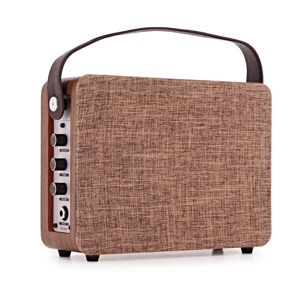 Belcat Portable Bluetooth Amplifier