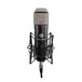 Townsend Labs Sphere L22 Microphone In Shockmount