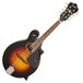 Gretsch G9350 Park Avenue Electro-Acoustic F-Mandolin Main Image