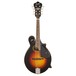 Gretsch G9350 Park Avenue Electro-Acoustic F-Mandolin front view