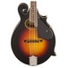 Gretsch G9350 Park Avenue Electro-Acoustic F-Mandolin front close up view