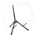 Ultimate Support AMP150 Guitar Amp Stand with amp