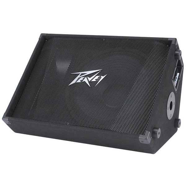 Peavey PV 15M Two Way Floor Monitor