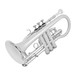 Coppergate Intermediate Cornet, Silver + Accessory Pack