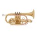 Coppergate Intermediate Cornet, Gold + Accessory Pack