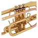 Coppergate Intermediate Cornet, Gold + Accessory Pack