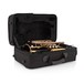 Coppergate Intermediate Cornet, Gold + Accessory Pack