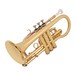 Coppergate Intermediate Cornet, Gold + Accessory Pack