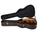 Luna Vista Mustang Electro Acoustic Guitar Case View