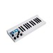 Mellotron M4000D Micro - Main