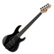 ESP LTD AP 5-String Bass Guitar, Black