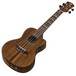 Luna High Tide Electro Acoustic Concert Ukulele, Koa Slanted View