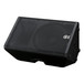 Yamaha DXR12 12