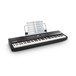 Alesis Recital Pro 88 Note Digital Piano - Main (book not included)