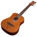 Dean Flight Series Travel Acoustic Guitar, Bubinga Slanted View