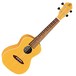 Ortega RUGOLD Concert Acoustic Ukulele, Gold Front View