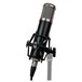 Lauten Audio LA-320 - With Shock Mount (mic stand not included)