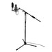 Tascam TM-AM1 Boom Stand with Counter Weight - Application (mic, pop filter & cable not included)