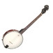 Ozark 2102T Tenor Banjo, with Gig Bag