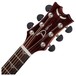 Dean Performer Plus Electro-Acoustic, Trans Brazilia Neck & Headstock View
