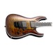 ESP E-II Horizon FR-II, Sunburst