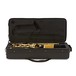 Elkhart 100AS Student Alto Saxophone