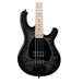 Chowny Davie504 EVO Bass, Black Burst close up