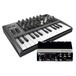 Arturia MicroBrute Monophonic Synth With Steinberg UR22 Interface - Bundle