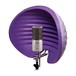 Aston Microphones Origin Condenser Microphone With Aston Halo Filter - Bundle