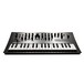 Korg Minilogue PG Limited Edition - Front